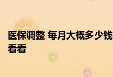医保调整 每月大概多少钱打入医保卡个人账户不知道的进来看看 