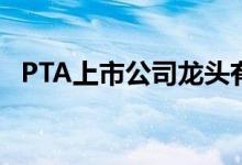 PTA上市公司龙头有哪些（（名单一览））