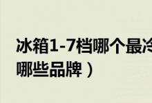 冰箱1-7档哪个最冷（中国冰箱十大排名包括哪些品牌）