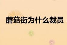 蘑菇街为什么裁员（蘑菇街现在主营什么）