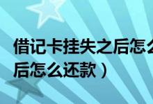 借记卡挂失之后怎么办（南粤银行信用卡挂失后怎么还款）