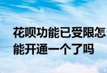 花呗功能已受限怎么开通 花呗功能又恢复只能开通一个了吗