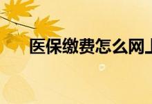 医保缴费怎么网上缴费 一年交多少钱 