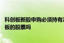 科创板新股申购必须持有沪市股票吗 没有沪股可以申购科创板的股票吗