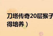 刀塔传奇20层猴子（刀塔传奇猴子怎么样值得培养）