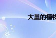  大量的植物购买和带回家 
