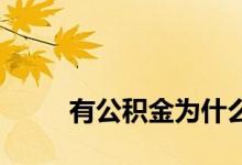 
有公积金为什么还要选择商业贷款？ 