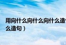 用向什么向什么向什么造句方向的向（用向什么向什么向什么造句）