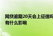 网贷逾期20天会上征信吗 征信上有网贷逾期30天以内记录有什么影响