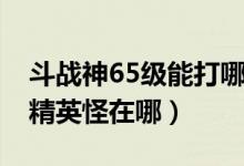 斗战神65级能打哪些团本（斗战神55级野外精英怪在哪）