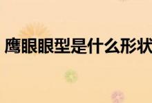鹰眼眼型是什么形状（鹰眼眼型是什么样子）