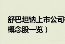 舒巴坦钠上市公司有哪些（2022年舒巴坦钠概念股一览）