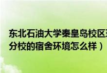 东北石油大学秦皇岛校区环境怎么样（东北石油大学秦皇岛分校的宿舍环境怎么样）