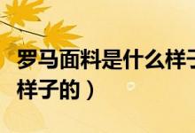 罗马面料是什么样子的图片（罗马面料是什么样子的）