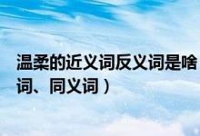 温柔的近义词反义词是啥（温柔的近义词是什么温柔的反义词、同义词）