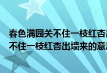 春色满园关不住一枝红杏出墙来的意思来造句（春色满园关不住一枝红杏出墙来的意思）