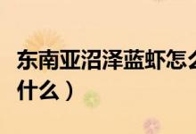 东南亚沼泽蓝虾怎么做好吃（沼泽蓝虾钓法是什么）
