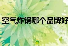 空气炸锅哪个品牌好（这几个牌子比较实用）