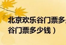 北京欢乐谷门票多少钱一张2020（北京欢乐谷门票多少钱）