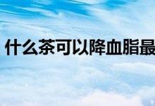 什么茶可以降血脂最好（什么茶可以降血脂）