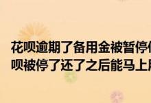 花呗逾期了备用金被暂停使用要多久才能恢复 备用金逾期花呗被停了还了之后能马上用吗