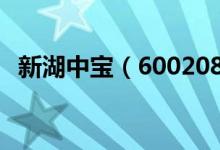 新湖中宝（600208）股票十大股东都有谁
