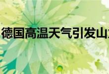 德国高温天气引发山火部分列车被迫停运晚点