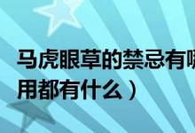 马虎眼草的禁忌有哪些（马虎眼草的功效与作用都有什么）