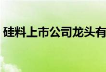 硅料上市公司龙头有哪些（硅料概念股一览）