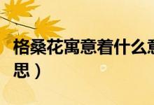 格桑花寓意着什么意思（格桑花寓意着什么意思）