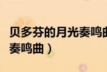 贝多芬的月光奏鸣曲简介（贝多芬简介及月光奏鸣曲）