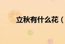 立秋有什么花（立秋有什么说法不）