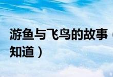 游鱼与飞鸟的故事（《飞鸟与鱼的故事》有谁知道）