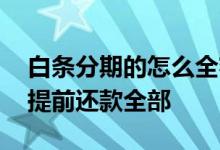白条分期的怎么全额提前还款 分期白条怎么提前还款全部