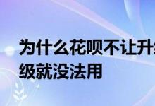 为什么花呗不让升级 花呗让升级是不是不升级就没法用