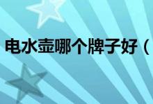 电水壶哪个牌子好（中国十大电热水壶品牌）