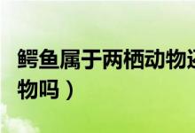 鳄鱼属于两栖动物还是鱼类（鳄鱼属于两栖动物吗）