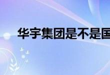 华宇集团是不是国企 华宇集团是国企吗