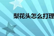 梨花头怎么打理（梨花头怎么打理）