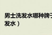 男士洗发水哪种牌子好（推荐男士最好用的洗发水）