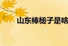山东棒槌子是啥（山东棒子啥意思）