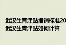 武汉生育津贴报销标准2021 武汉生育津贴计算公式！2022武汉生育津贴如何计算 