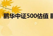 鹏华中证500估值 鹏华中证500是什么类型