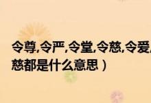 令尊,令严,令堂,令慈,令爱,令媛,各指什么?（令尊令堂家严家慈都是什么意思）