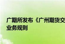 广期所发布《广州期货交易所风险准备金管理办法》等6项业务规则