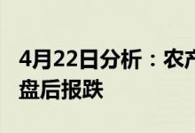 4月22日分析：农产品触及跌停深圳本地概念盘后报跌
