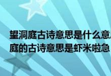 望洞庭古诗意思是什么意思（望洞庭的古诗意思告诉我望洞庭的古诗意思是虾米啦急！）