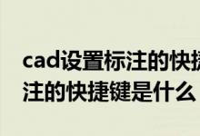 cad设置标注的快捷键是什么（cad中快速标注的快捷键是什么）