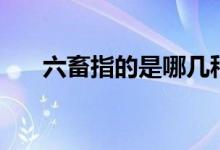 六畜指的是哪几种动物（六畜指什么）
