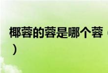 椰蓉的蓉是哪个蓉（莲蓉和椰蓉的区别是什么）